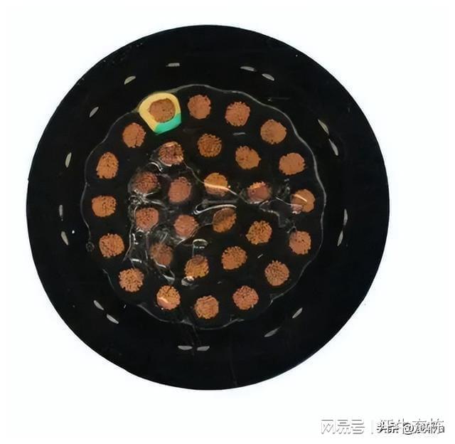 高温超导电缆在临界温度上有何特点？如何提高列车的行驶速度？(图11)
