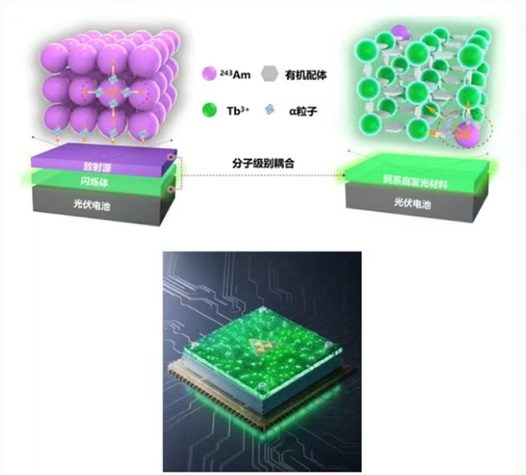“人造太阳” “基因编辑猪”！多个成都团队参与项目入选“中国科学十大进展”(图1)