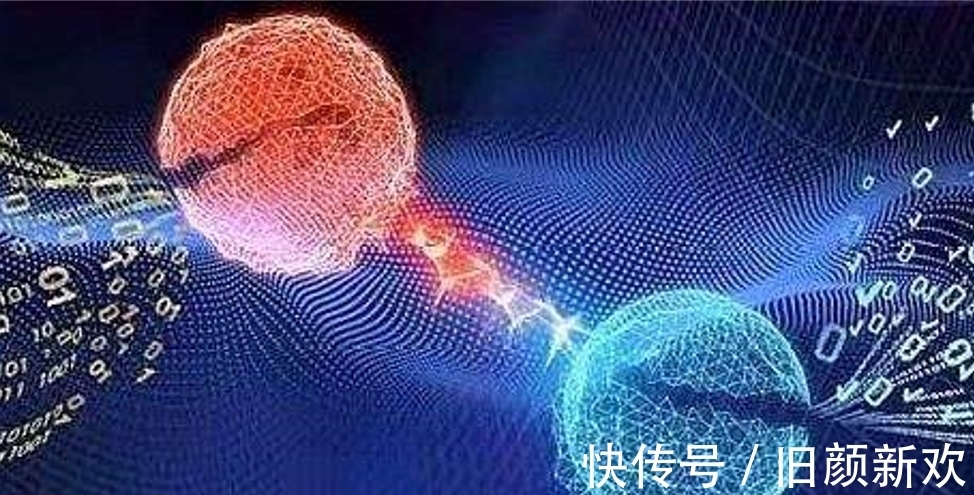 _标签_网易出品