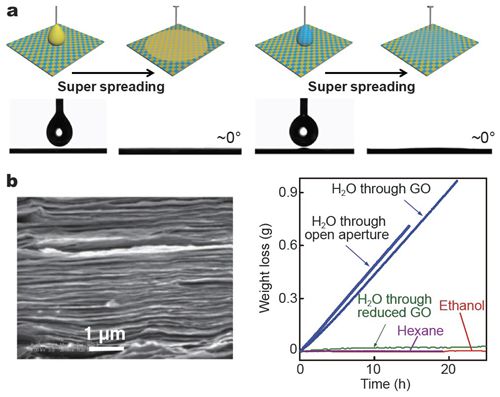 球盟会：首张预售证落地！杭州2026首个10万+㎡豪宅来了！