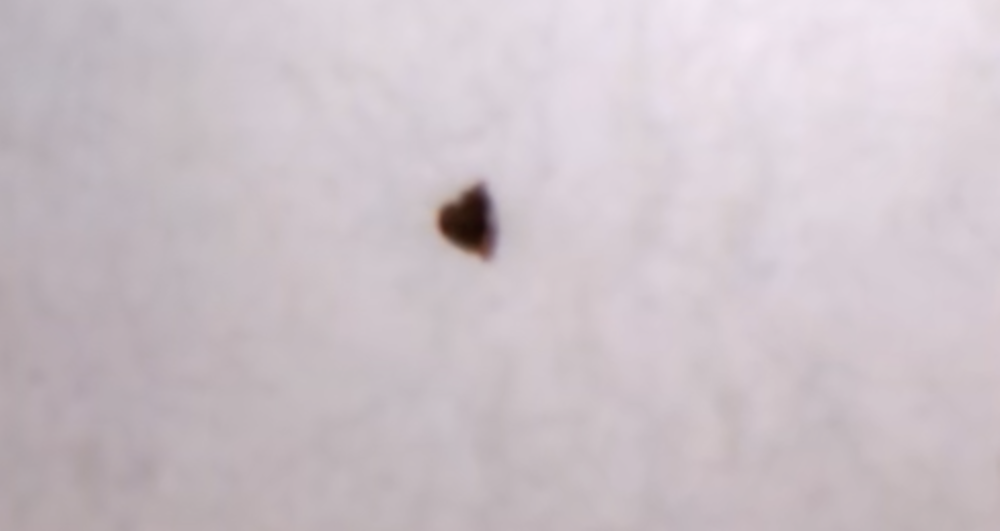 球盟会：华科复现韩国室温超导这回是真的？(图1)