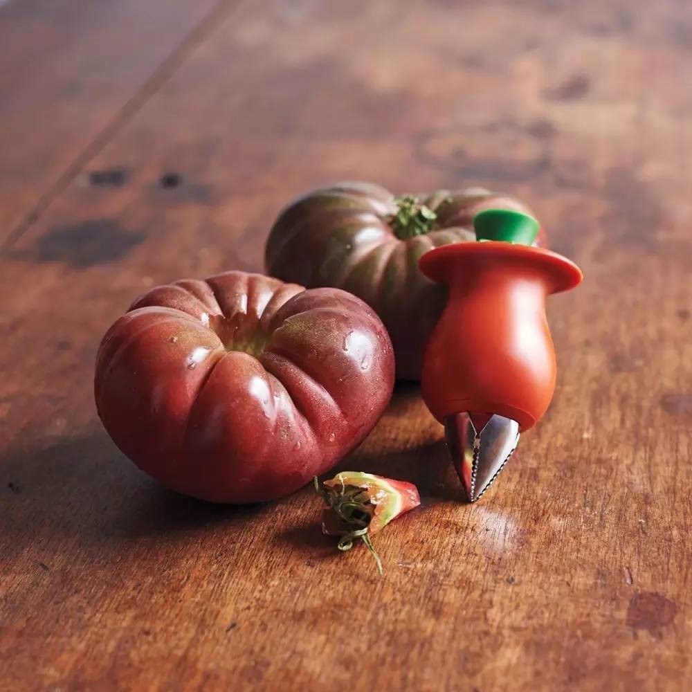 这十大科学骗局竟欺骗了我们一个世纪？(图5)