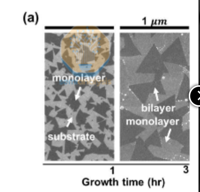 【头条】特朗普对华再加征10%关税PC巨头裁员2000人！捷扬微电子完成B轮亿元级融资；国内GPU独角兽IPO前裁员(图22)