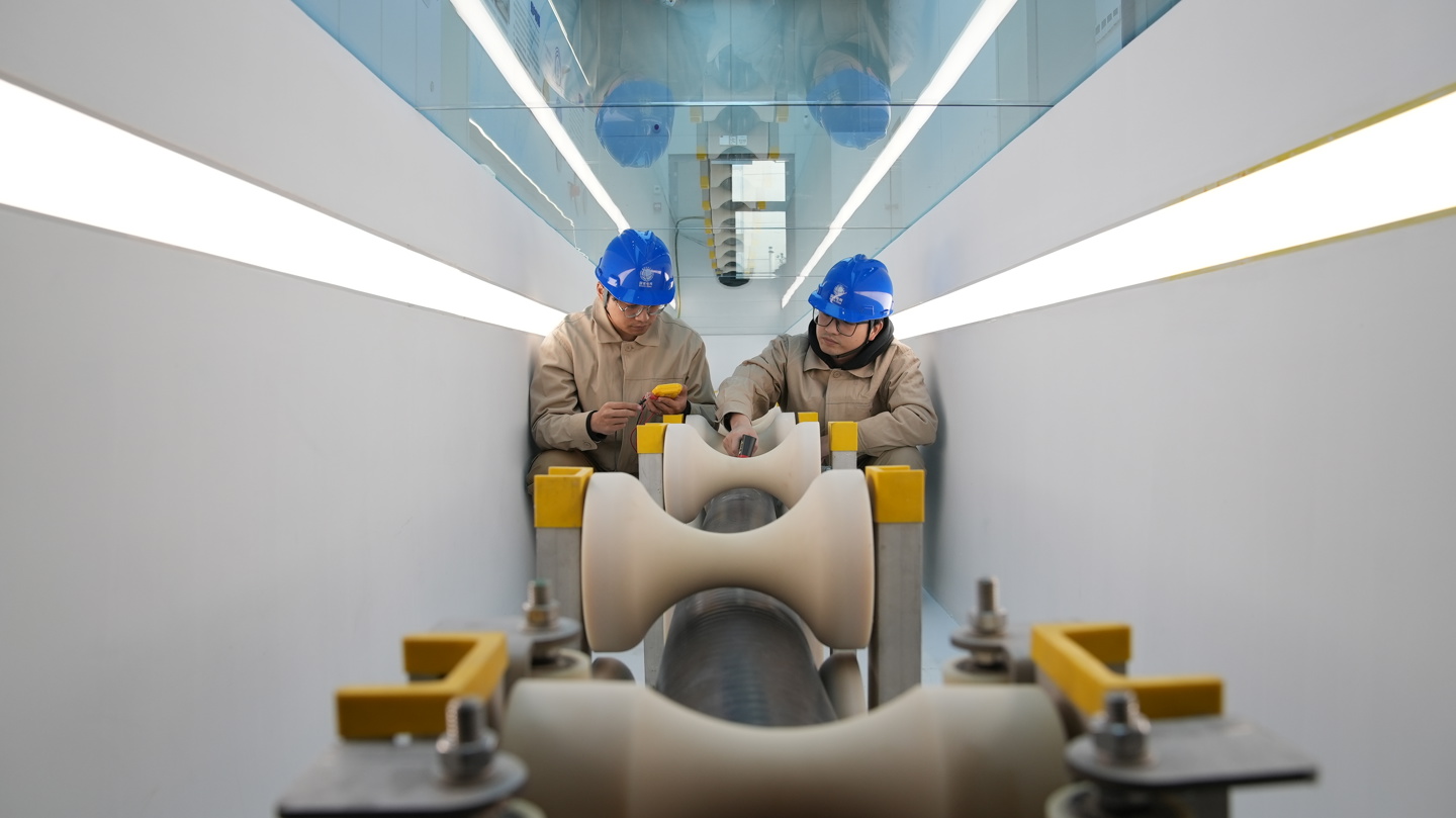 超导电缆龙头股票有哪些四大优质龙头股名单（20251230）