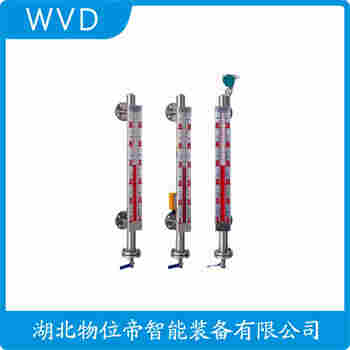 磁浮子液位计 YS-YWJ