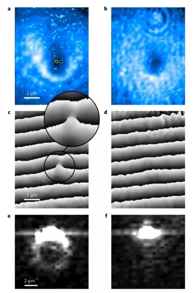 球盟会入口：左海星悦颂官网_售楼部电话_最新情况