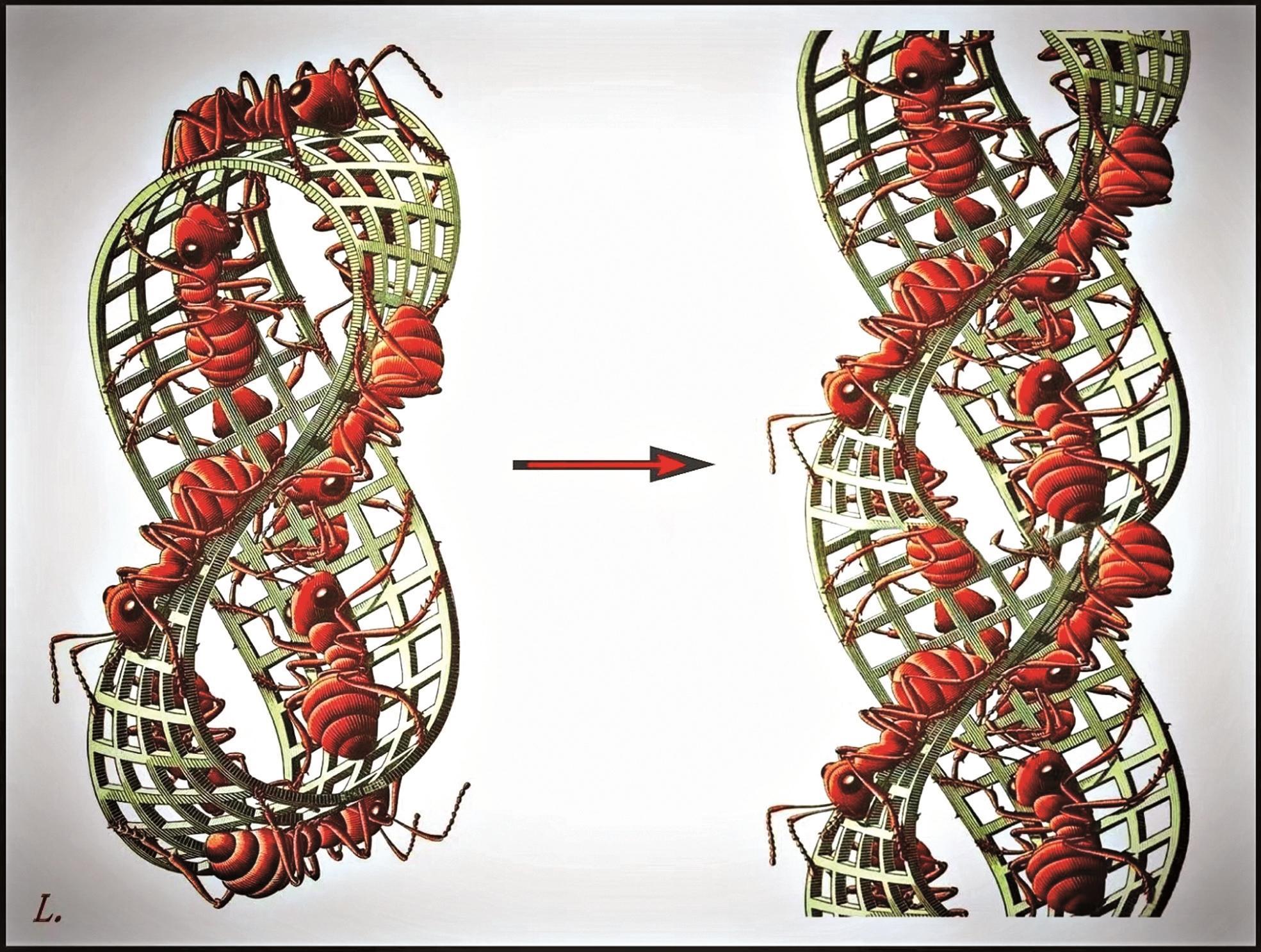 2025一个值得纪念的科学年份(图4)